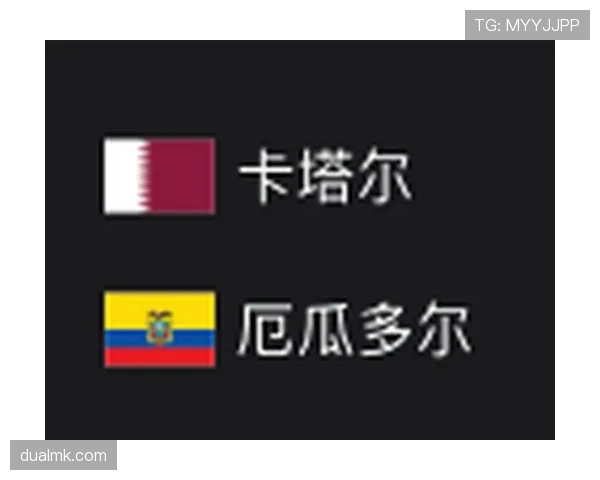 厄瓜多尔世界杯赛前深度报告